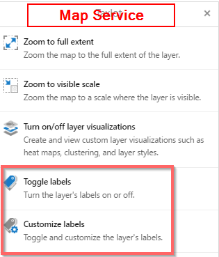 Map Service Options