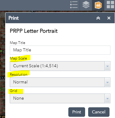 printwidget