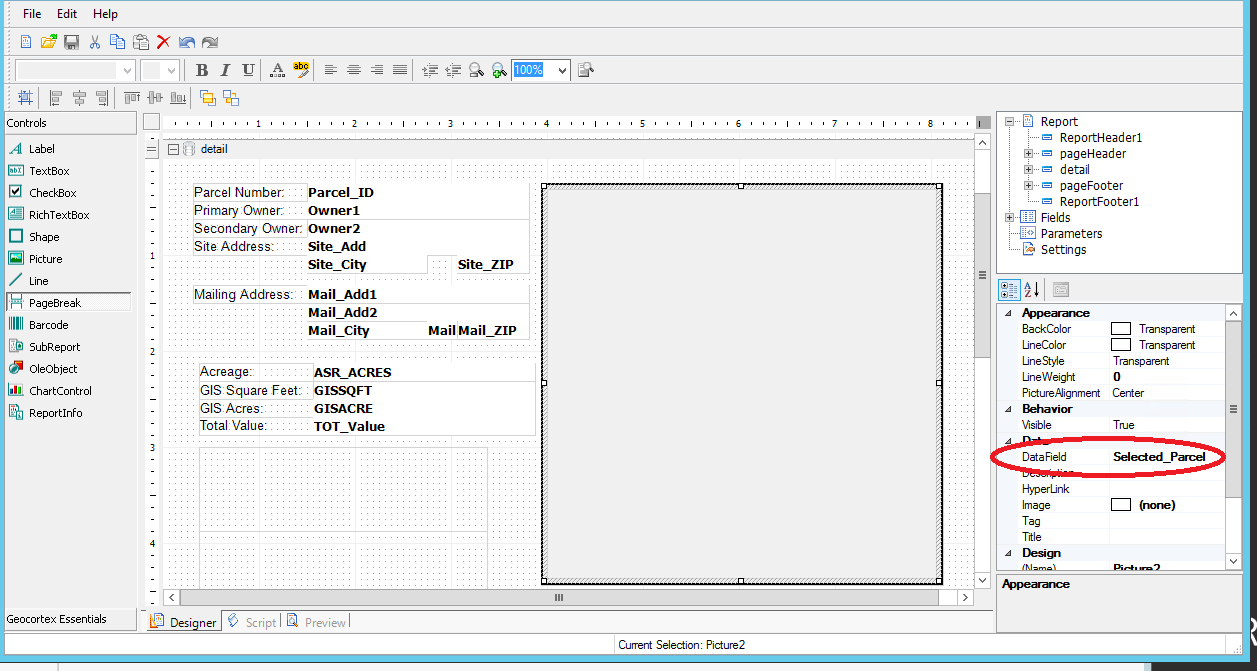 Report Designer screenshot