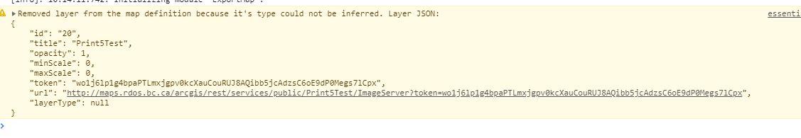 GeocortexPrinting5Error