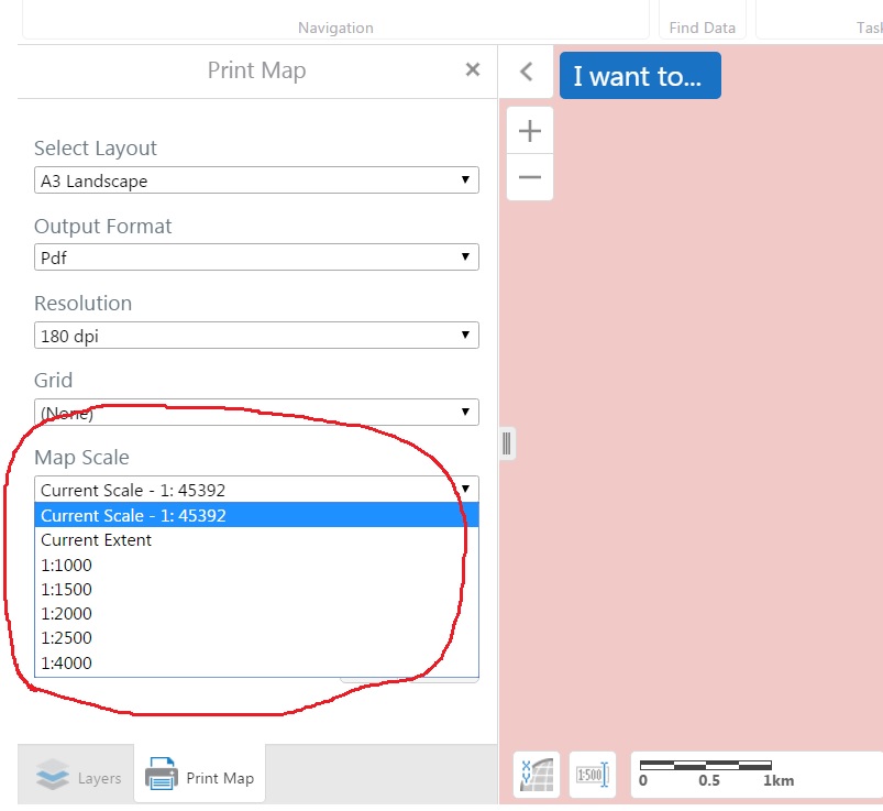 Where's the option for Custom Scale?