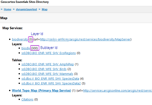 vmconnect_p52OCI9hqT