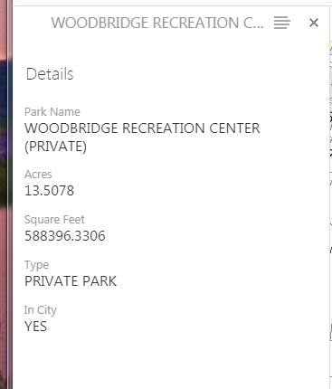 Details Tab example
