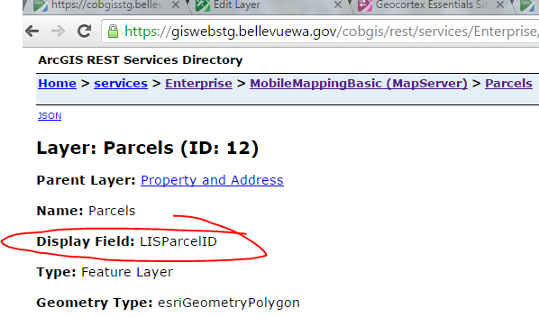 esri rest endpoint
