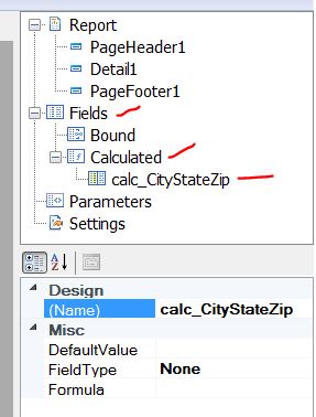 screen capture of Report Designer